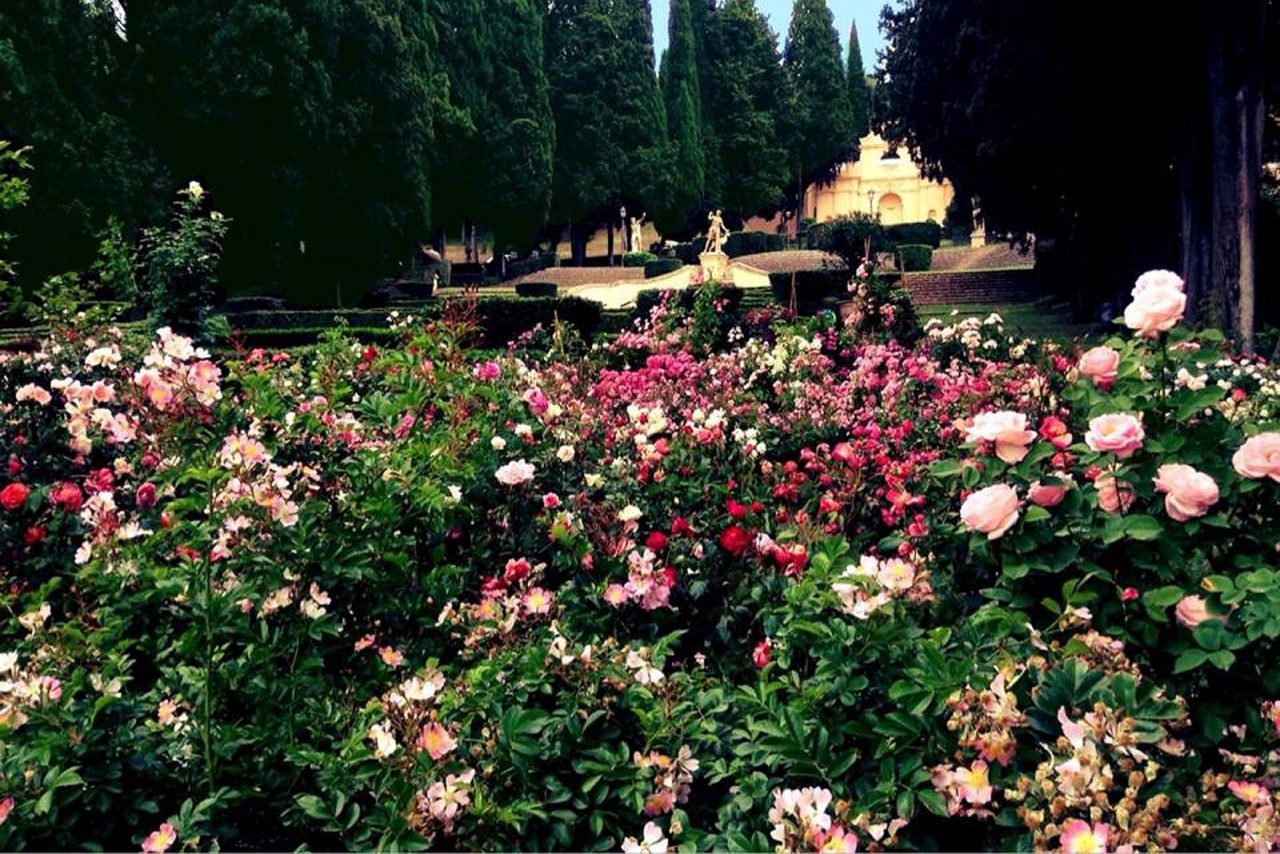 30mila visitatori alla quinta edizione de “I Giorni delle Rose”