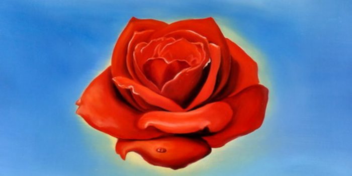 La “Rosa Meditativa” di Salvador Dalì