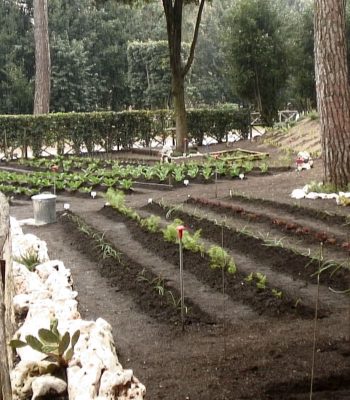 Il giardino della Luiss 2017