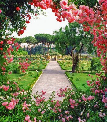 Premio “Roseti d’Italia”